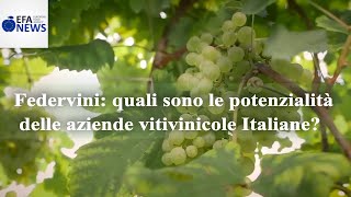 Sandro Boscaini illustra i margini di miglioramento e le potenzialità delle aziende vitivinicole Italiane in occasione dell'assemblea nazionale di Federvini, svoltasi a Roma il 22 maggio 2018 Federvini: quali sono le potenzialità delle aziende vitivinicole Italiane?