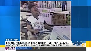 Leland police searching for theft suspect