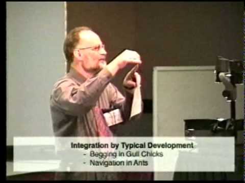 William Timberlake, "Behavior Systems" SQAB