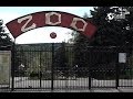 Frumusețile Grădiniii Zoologice din Chișinău