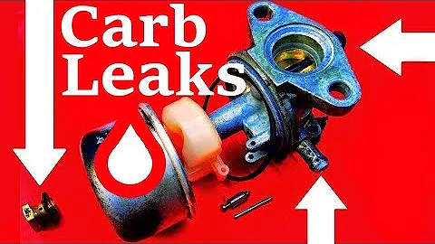 How to Stop Fuel Leaks on Lawn Mower Carburetors and Small Engines, Fuel Tanks... #LAWN MOWER LEAK