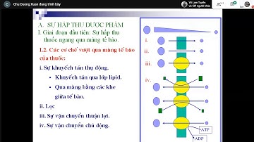BÀI 2,3. TÓM TẮT SƠ LƯỢC DƯỢC ĐỘNG VÀ LỰC HỌC CỦA THUỐC.