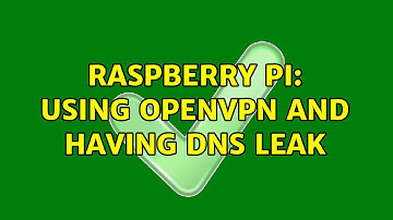 Raspberry Pi: Using OpenVPN and having DNS Leak (2 Solutions!!)