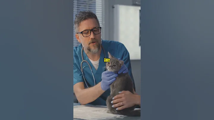 Protect your pet!❤️🐾 #pethealth #dogcommunity #pets #dogs #doglover