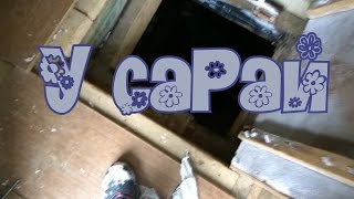 ВЛОГ: САРАЙ ВЛОГ: САРАЙ