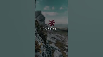 القران الكريم بصوت جميل القارئ احمد العجمي