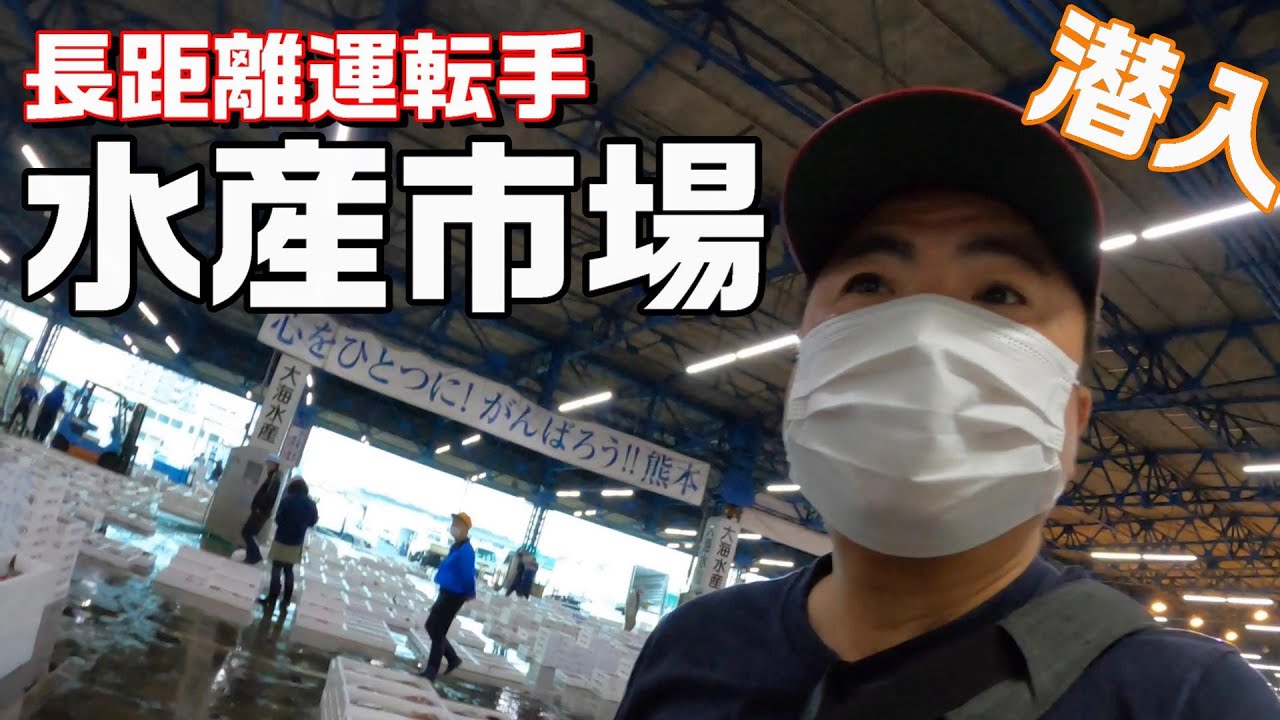 【長距離トラック運転手】水産市場に潜入！朝から市場で何する？大人の社会見学。競りの様子を仲買目線で。