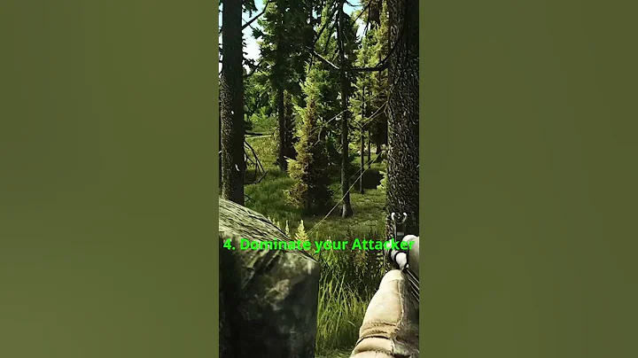 Win Fights in Tarkov