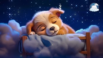 Thumbnail of Deep Relaxation: Heal Stress, Anxiety and Depressive States for a Balanced Life