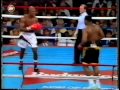 Evander holyfield vs ray mercer