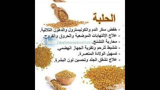 @الحلبه وفوايدها على جسم الانسان