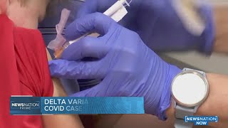 Delta variant to blame for rise in COVID-19 cases among unvaccinated kids