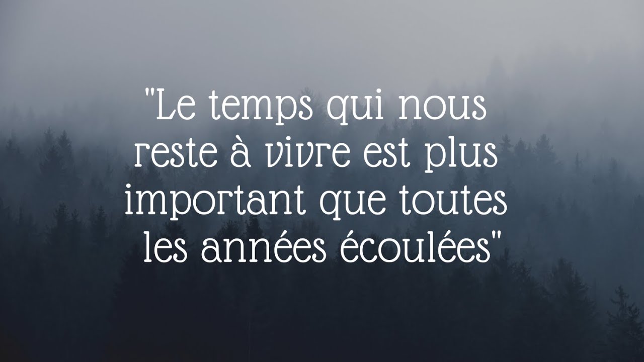 Paroles Le Temps Qui Reste Serge Reggiani Reggiani - Le temps qui reste (cover) - YouTube
