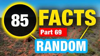Detailed 85 Fun Facts | Facts You Won’t Believe Profile