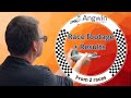 Angwin family pigeons racing pigeon race footage  results from 2 races this week