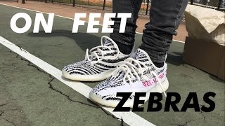 YEEZY BOOST 350 V2 ZEBRA ON FEET!!