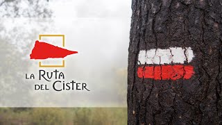 La Ruta Del Cister Il Cammino Cistercense Catalunya