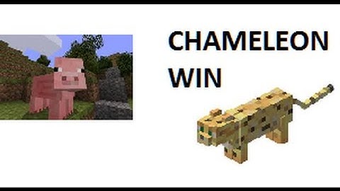 MCPVP Hunger Games Funny - Chameleon
