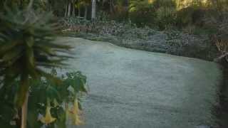 Du givre à la Réunion. Hoarfrost in Reunion Island.