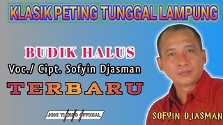 Download lagu KLASIK PETING TUNGGAL TERBARU - BUDIK HALUS - SOFYIN DJASMAN