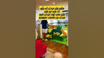 MẪU HỒ CÁ KOI SÂN VƯỜN NHÀ ĐẸP ĐÓN TẾT | NUÔI CÁ KOI NHẬT ĐƠN GIẢN VỚI CHUYÊN GIA CÁ KOI #KOIMART