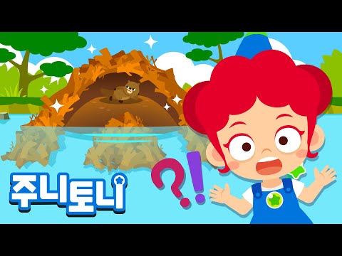 동물들의 집🏡 | 땅 속?🕳나무 위?🌲 너굴이의 집은 어디에?🦝 | 동물동요 | 주니토니 by 키즈캐슬