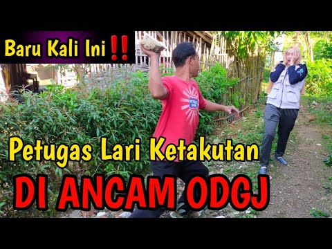 Video: Alga Akan Membantu Orang Menyingkirkan Kebutaan - Pandangan Alternatif