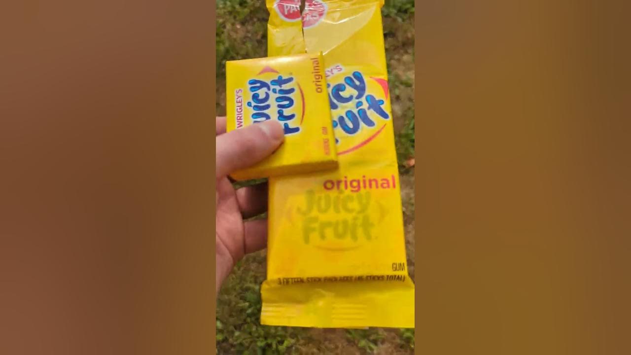 How To Get Rid Of Moles In Your Yard With Juicy Fruit Gum. YouTube