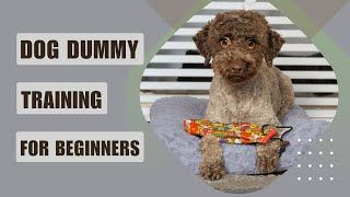 Dog Dummy Training for Beginners ~ 5 Simple Exercises