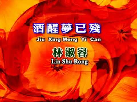林淑容  - 酒醒夢已殘 【Original Karaoke】