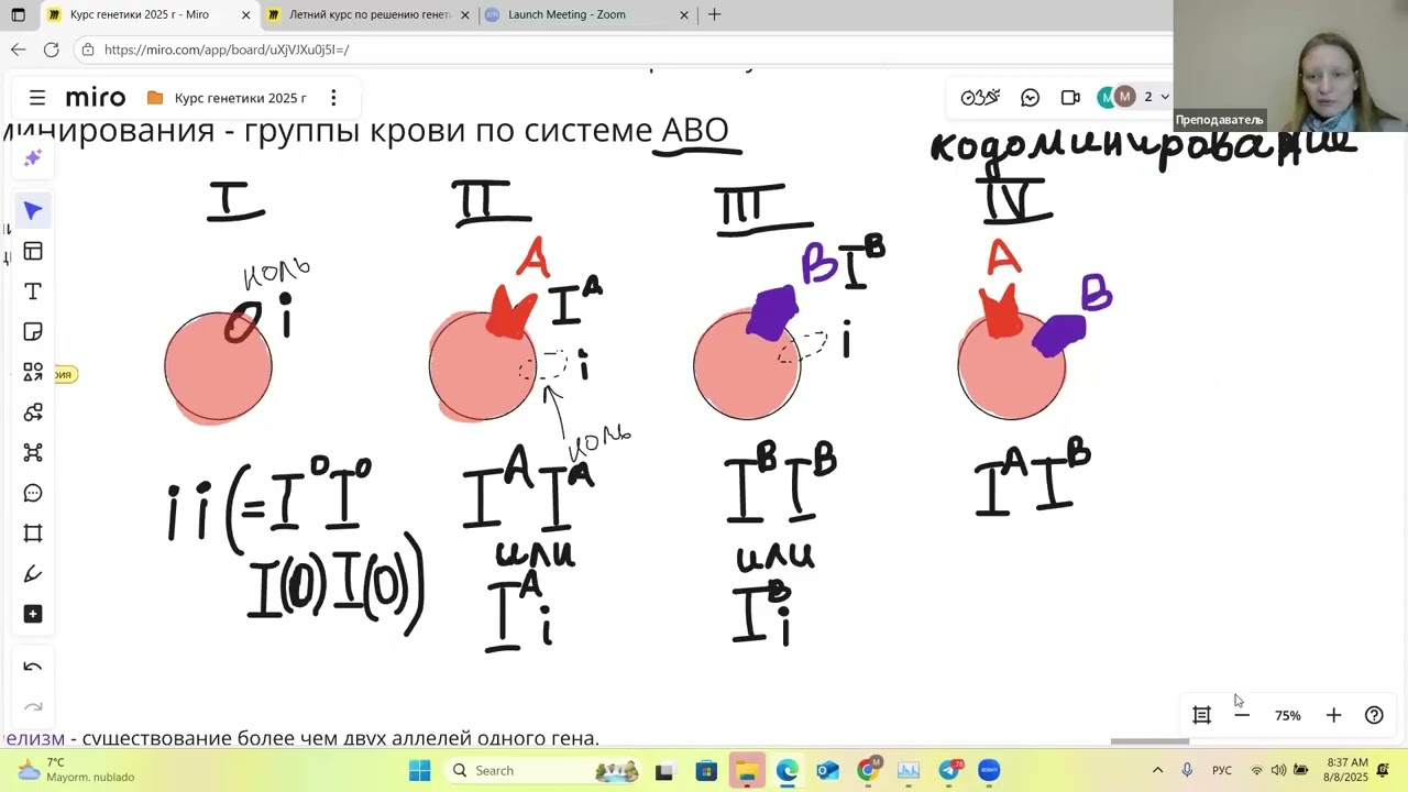 Взаимодействие аллелей