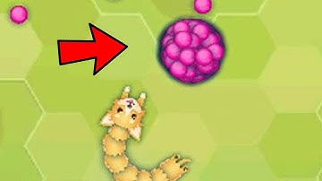 I Teleported A Score Hole To My Pet In Attempt To Make Him The Biggest Snake / Snake.io