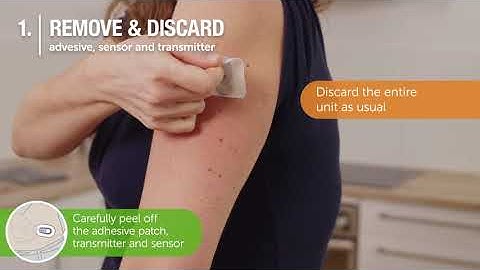How to Pair a new Dexcom G6 Transmitter