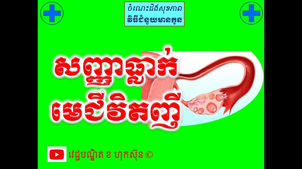 សញ្ញាធ្លាក់មេជីវិតញី l Symptoms of ovulation l ចំណេះដឹងសុខភាពបន្តពូជ l វេជ្ជបណ្ឌិត ខ ហុកស៊ុន