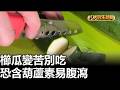 櫛瓜變苦別吃 恐含葫蘆素易腹瀉 |【民生八方事】| 2026100511 #八大民生新聞