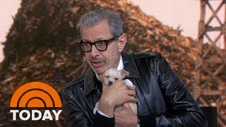 Jeff Goldblum Talks About His New Movie, ‘Isle Of Dogs’ | TODAY
