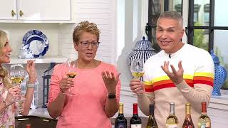 Vino Voyage (12) 750 ml Bottles of Wine Discovery Set on QVC