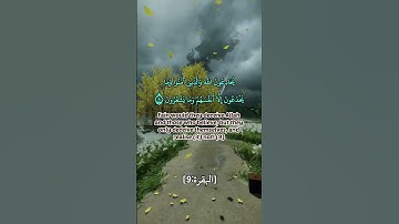 سورة البقرة من الآية 8 إلى الآية 10