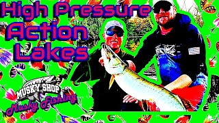 HIGH Pressure Action Lakes Musky Fishing!