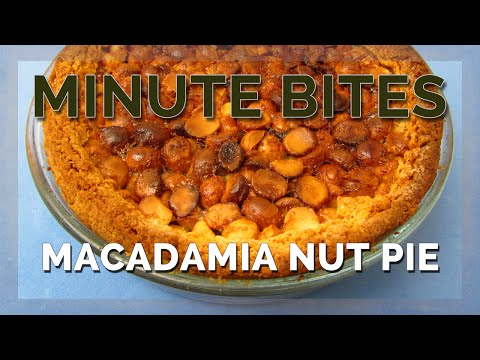 MINUTE BITES - MACADAMIA NUT PIE