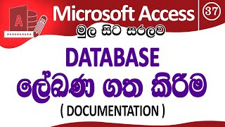 ‍Database ලේඛණගත කිරීම - Database Documentation - Microsoft Access for Beginners - Part 37