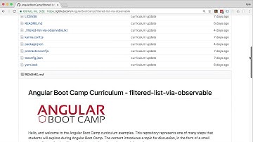 Angular Boot Camp Unleashed