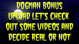 DOGMAN BONUS UPLOAD LET'S CHECK OUT SOME VIDEOS AND DECIDE REAL OR NOT