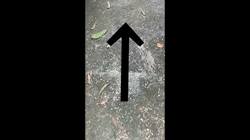 PACE FACTOR (SURVEYING)