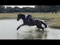 Horse Riding Fails 2020