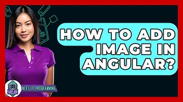 How To Add Image In Angular? - Next LVL Programming