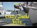 Crazy ducks and Rust  Adventures of an Old Seadgog, ep163