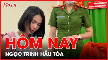 Ngọc Trinh hầu tòa tội gây rối trật tự công cộng - PLO