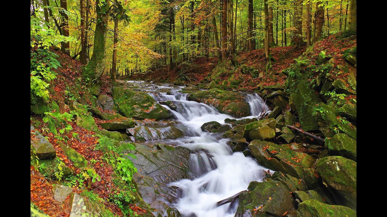 Mutlaka Bilinmesi Gereken Kavramlar, Mükellefin Görevleri