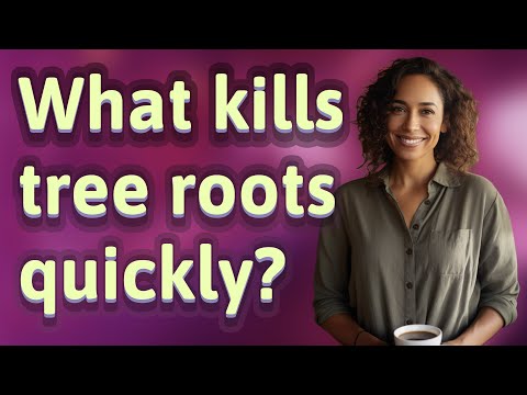 What kills tree roots quickly?